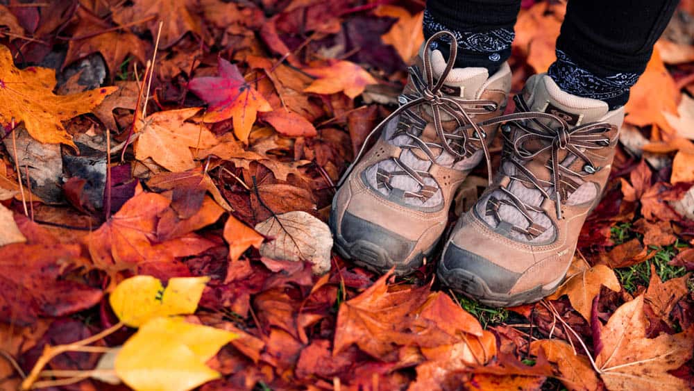 wandelschoenen tussen gekleurde bladeren